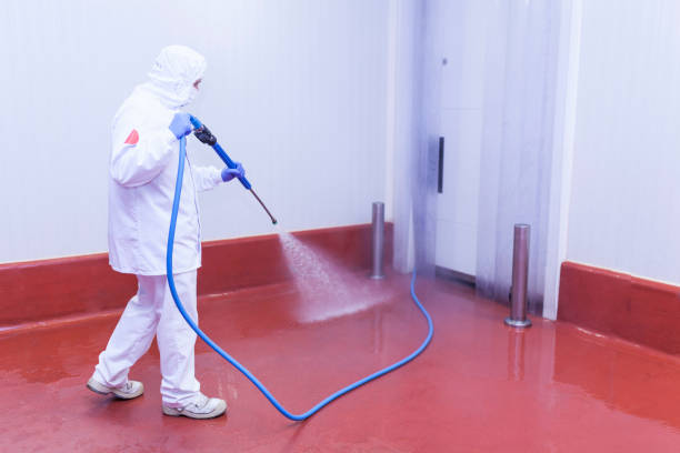 Best Roof Washing  in Elgin, OR